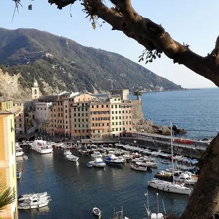 Attico Spettacolare Vista Mare Apartamento Camogli Exterior foto