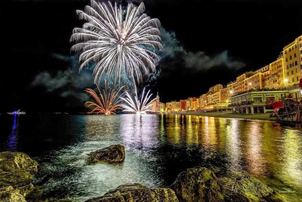Attico Spettacolare Vista Mare Camogli
